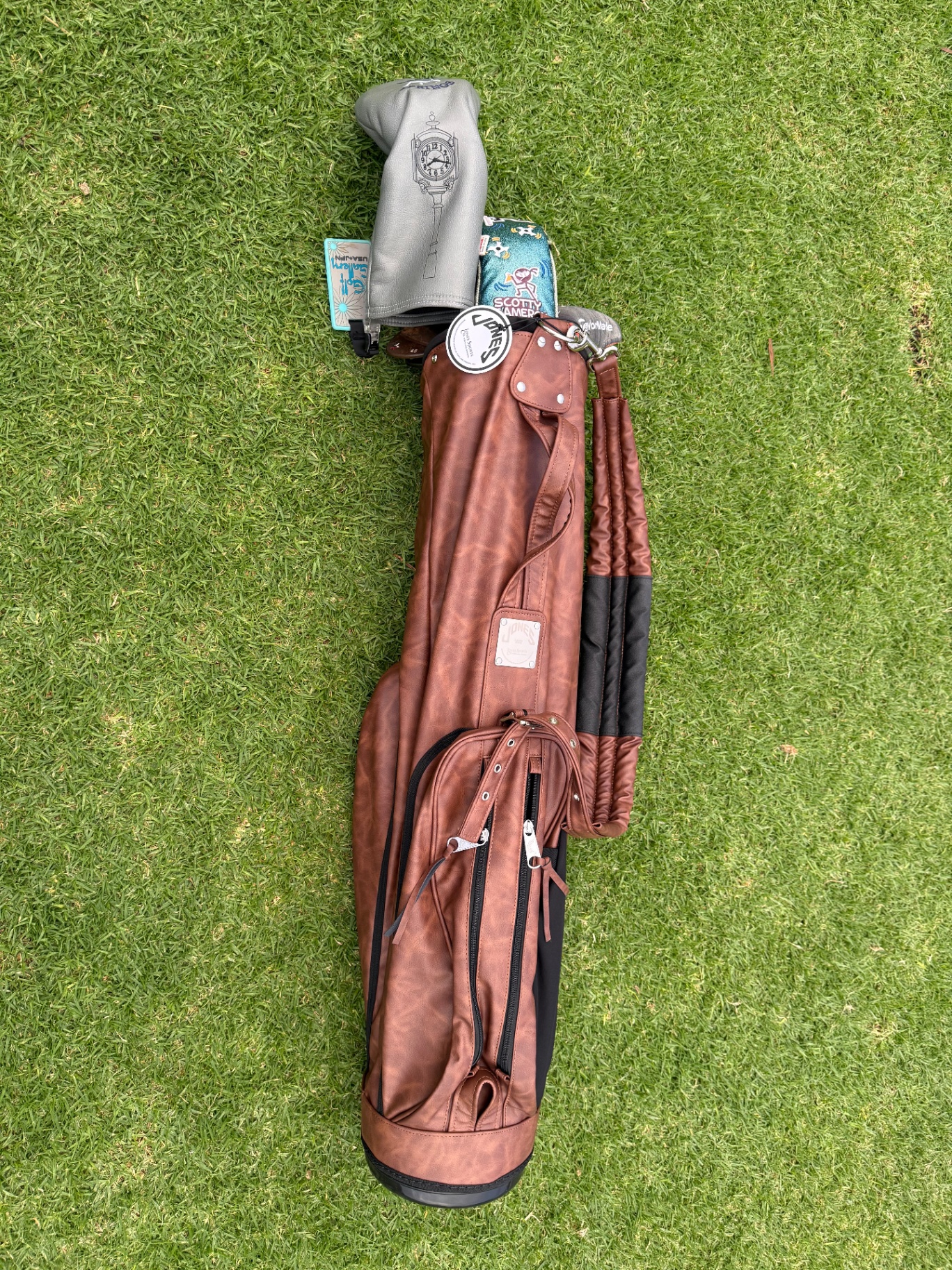 Leather stand bag on the grass