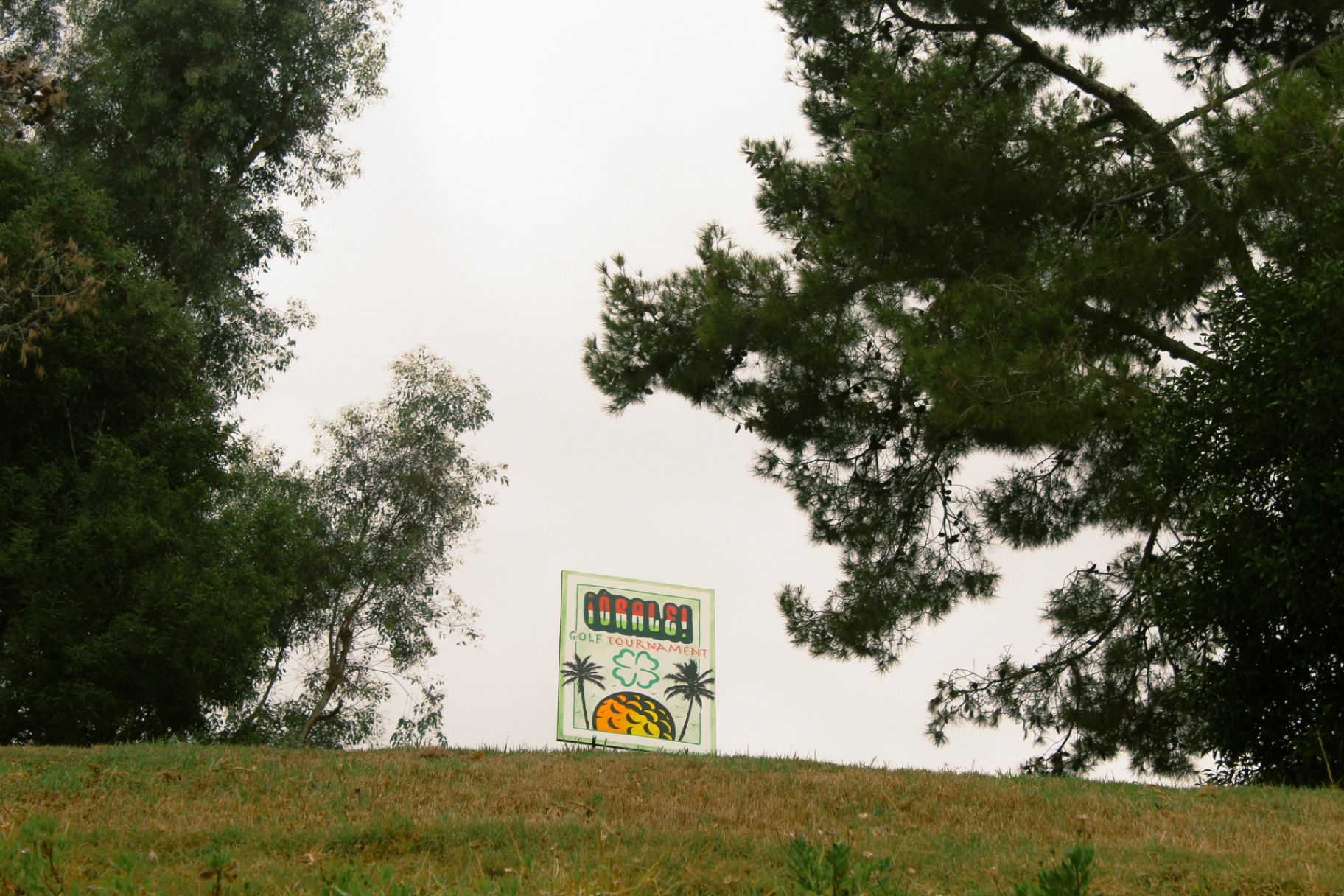 Órale Golf Tournament sign on a hill between the trees